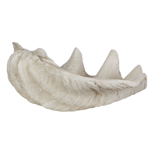 Decorative Large Clam Shell