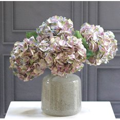 Antique Lavender and Olive Hydrangea  Image