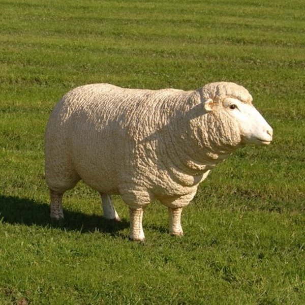 Standing Sheep Statue