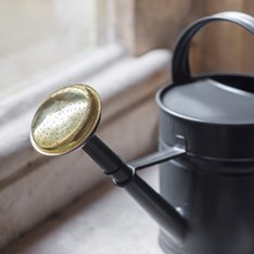 5L Black Watering Can Image