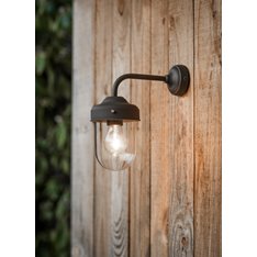 Abinger Outdoor Light Carbon Image