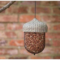 Acorn Shaped Bird Feeder Image