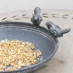 Antique Grey Bird Bath with feet Image