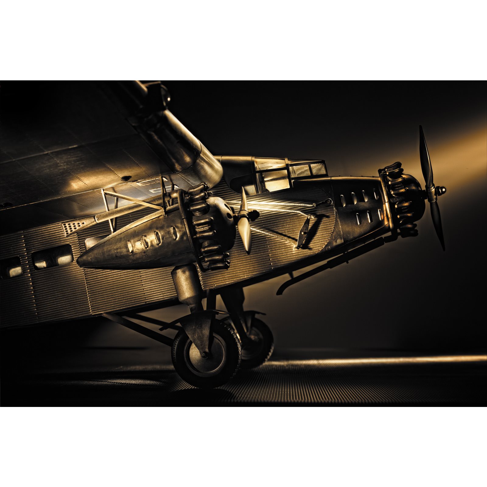 Authentic Model Ford Trimotor model Plane Image