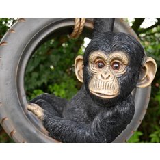 Baby Monkey in Tyre Garden Ornament  Image