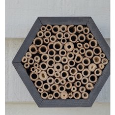Banbury Bee House Image