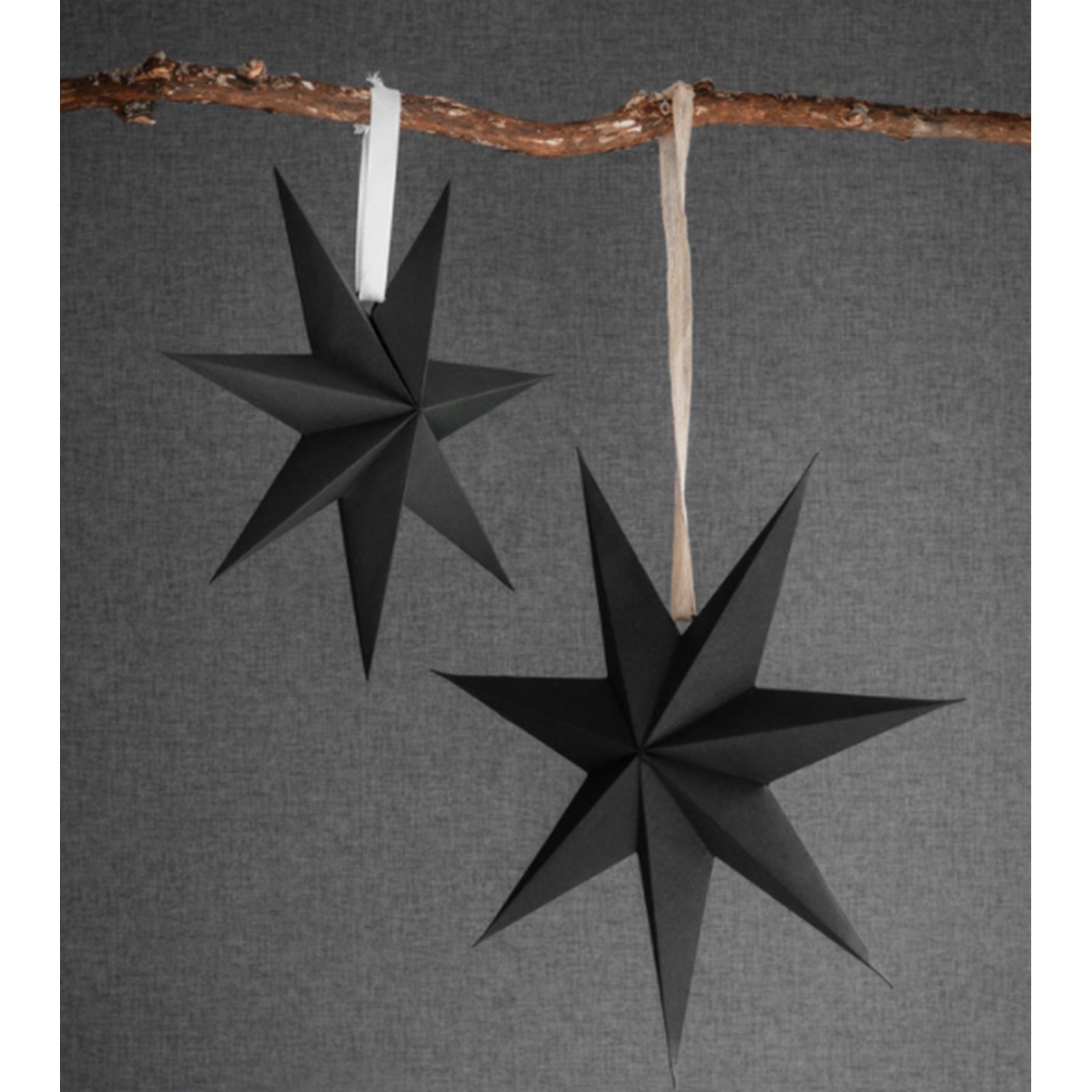 Black Star Decoration  Image