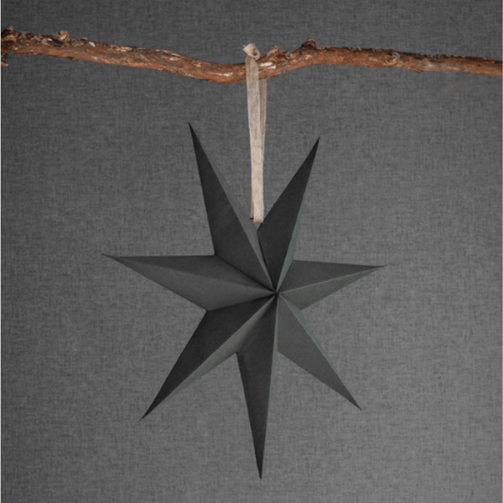 Black Star Decoration  Image