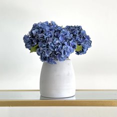 Blue Hydrangea Stem Image