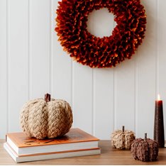 Brown Plaited Pumpkin Image