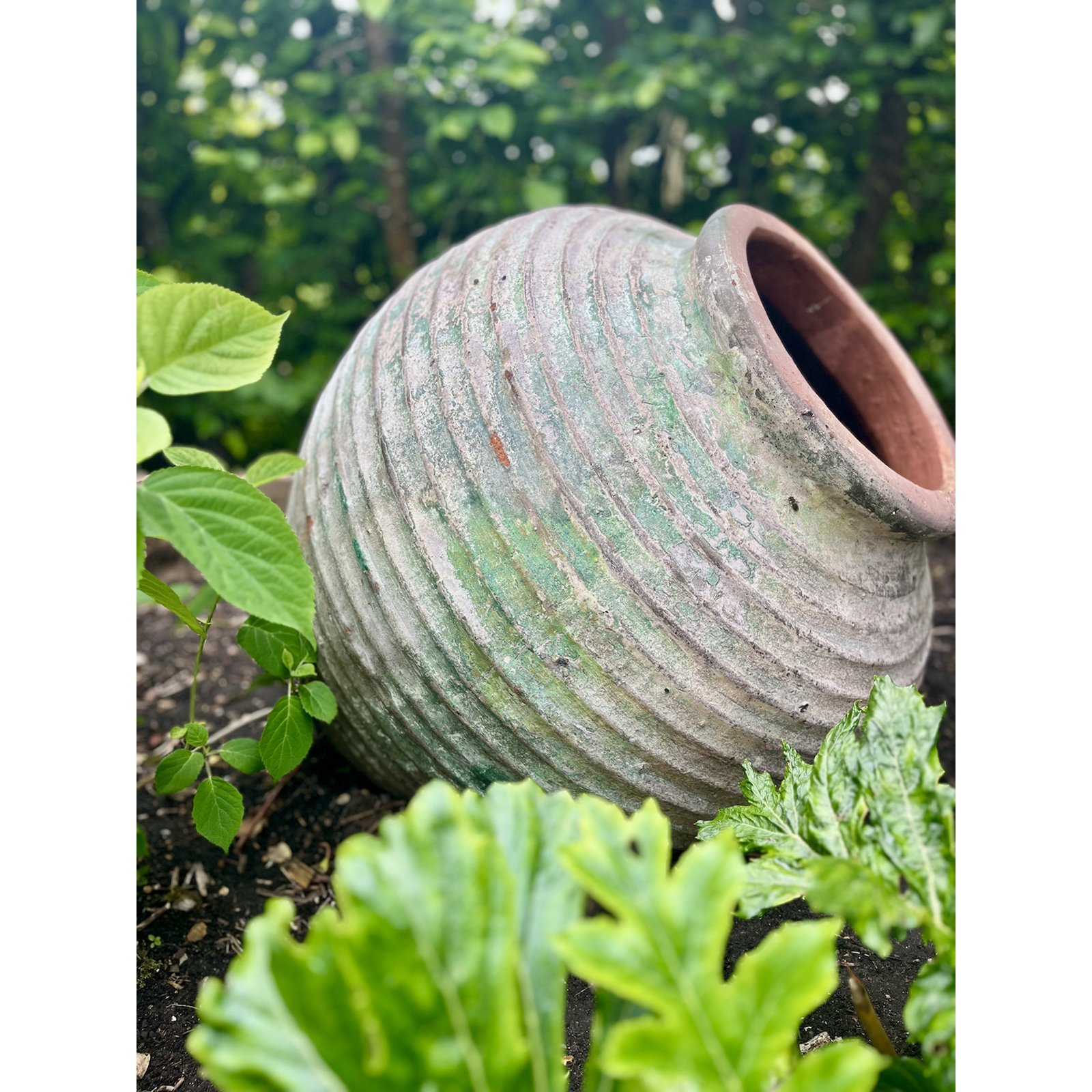 Decorative Aged Green Beehive Terracotta Jar Image