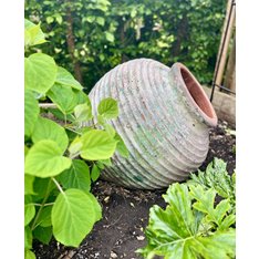 Decorative Aged Green Beehive Terracotta Jar Image