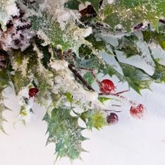 Decorative Holly Wreath Image