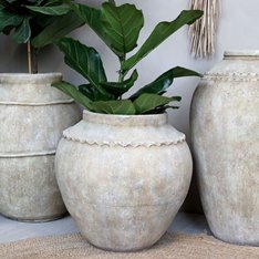 Decorative Terracotta French Pot Image