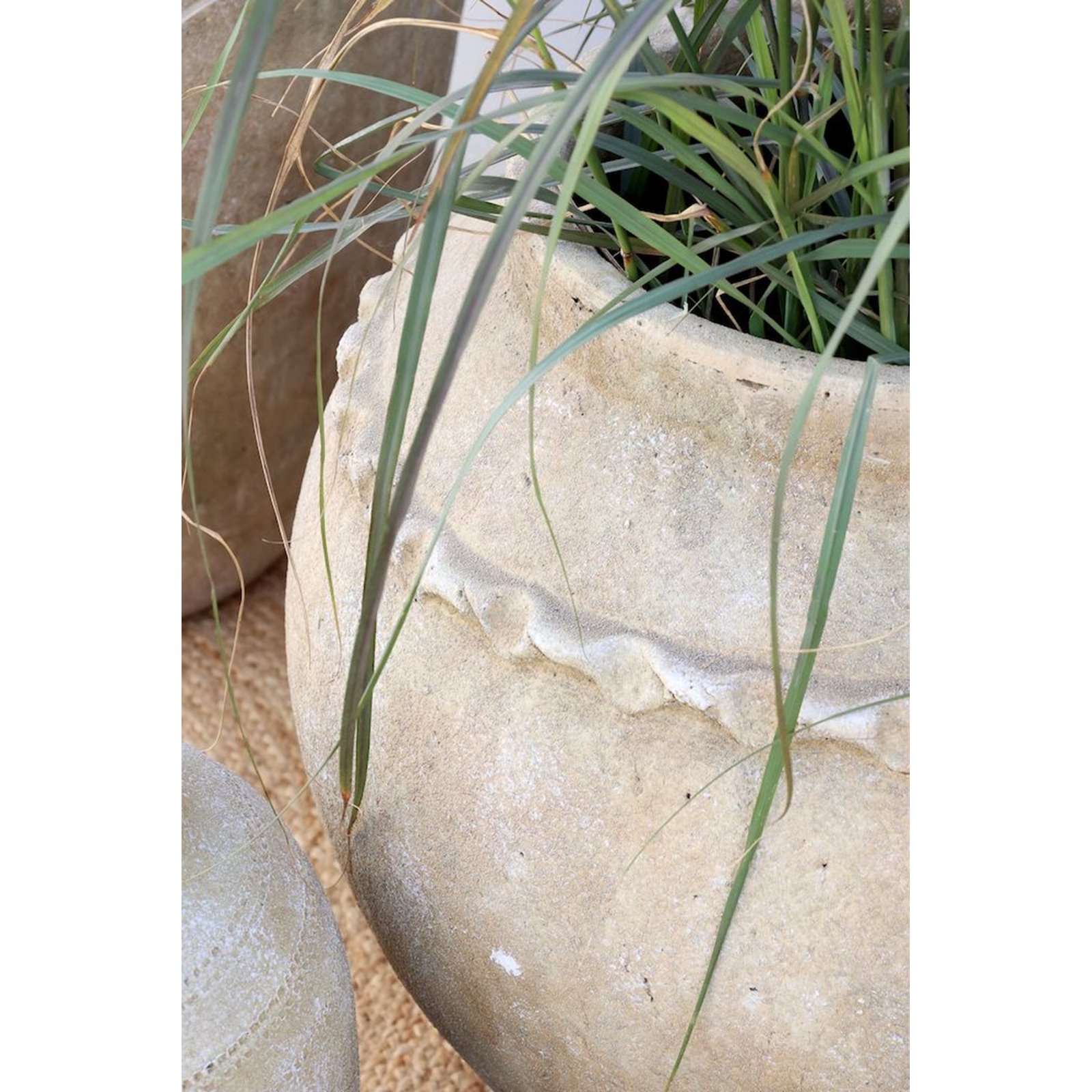 Decorative Terracotta French Pot Image