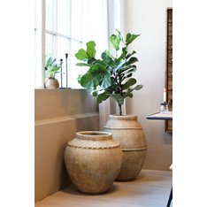 Decorative Terracotta French Pot Image