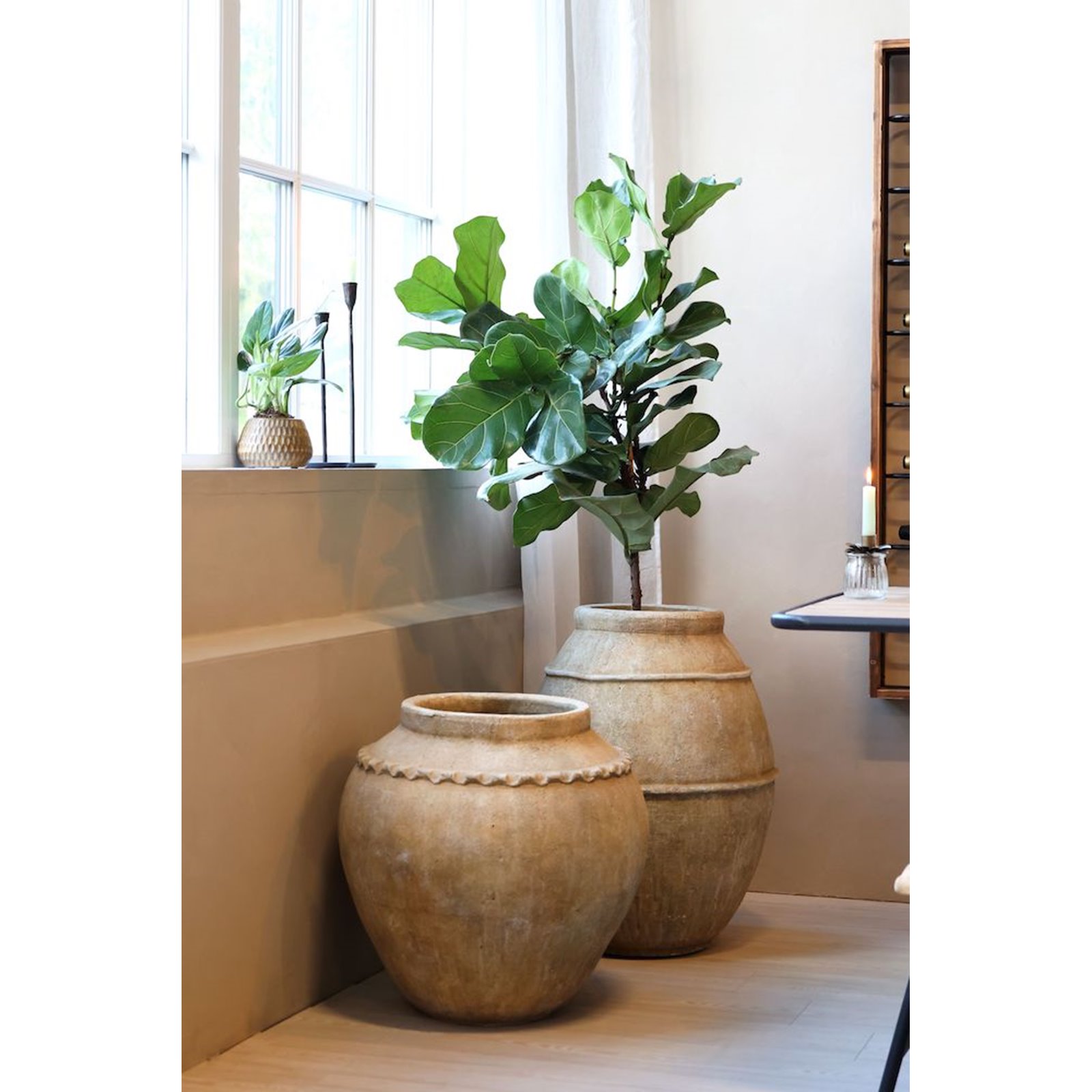 Decorative Terracotta French Pot Image