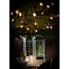 Festoon Lights for Outdoor Use Image