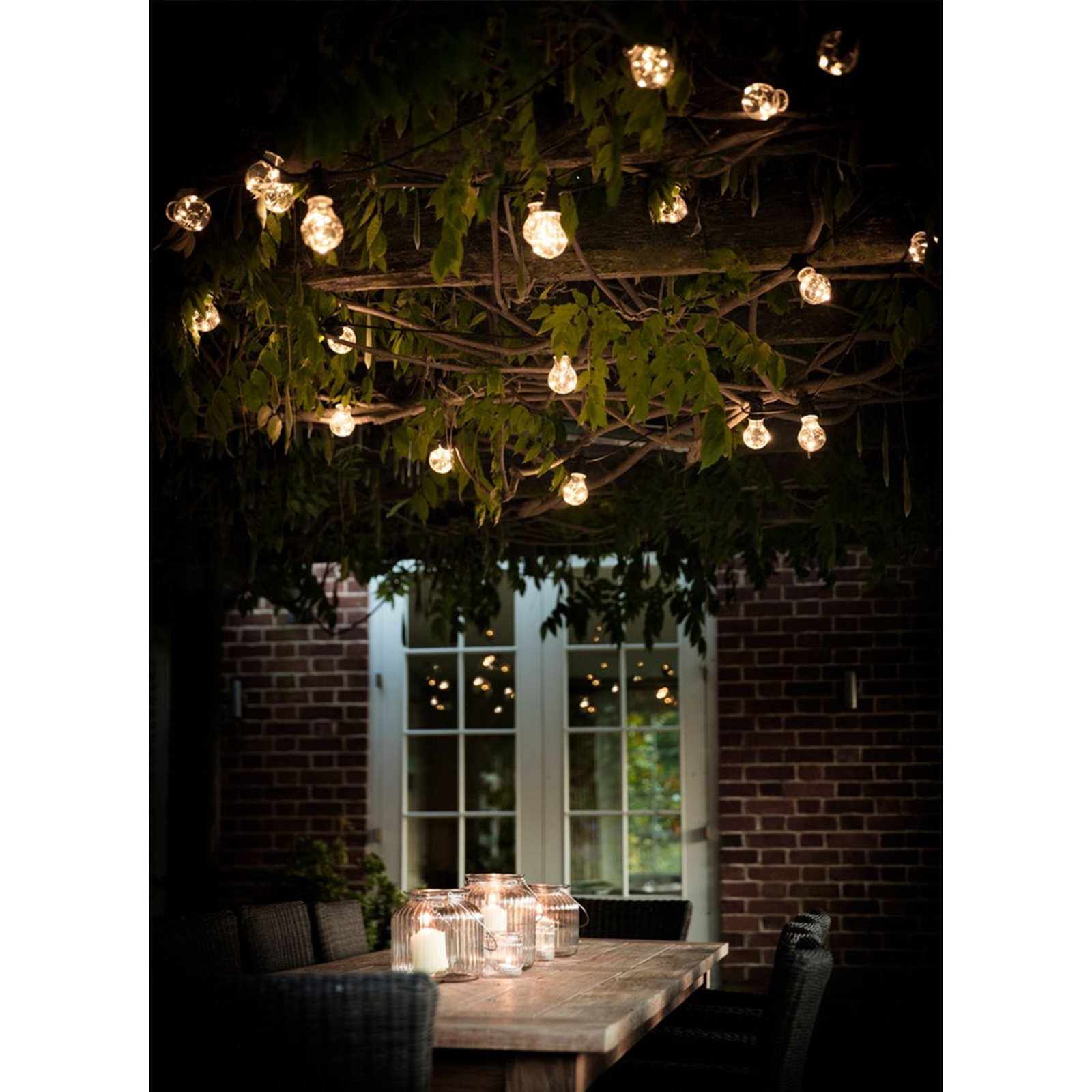 Glass store festoon lights