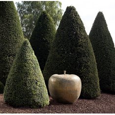 Foundry Bronze Apple Sculpture  Image