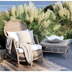French Rattan Outdoor Armchair Image