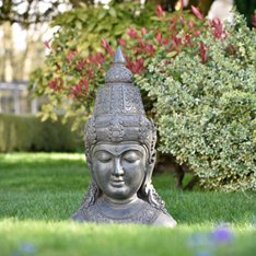 Giant Outdoor Buddha Head Image