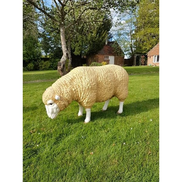 Grazing Sheep Statue