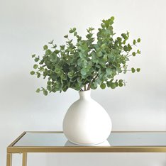 Green Eucalyptus Spray Image