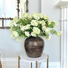 Green Snowball Viburnum  Image