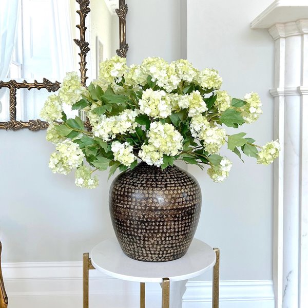Green Snowball Viburnum 