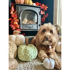Green Woven Paper Pumpkin Image