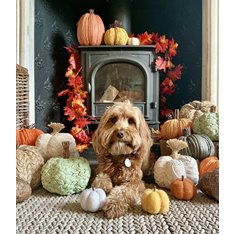Green Woven Paper Pumpkin Image