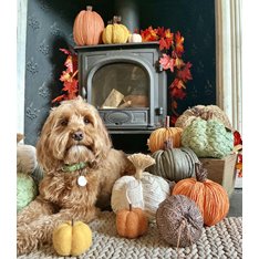 Handmade Bright Orange Straw Pumpkin  Image