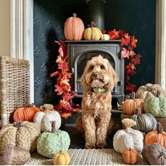 Handmade Burnt Orange Straw Pumpkin Image