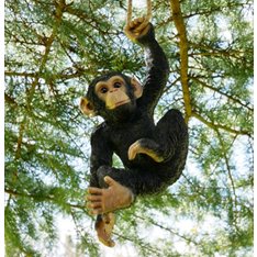Monkey Garden Ornament Image