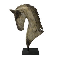 Large Paloma Horse Head Image