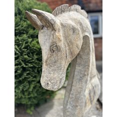 Large Paloma Horse Head Image