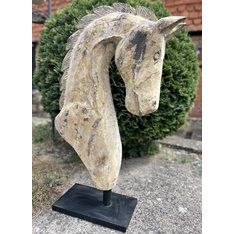 Large Paloma Horse Head Image