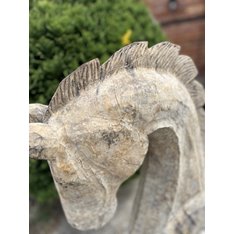 Large Paloma Horse Head Image