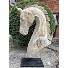 Large Paloma Horse Head Image