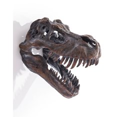 Large T Rex Head Wall mounted Image