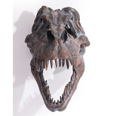 Large T Rex Head Wall mounted Image