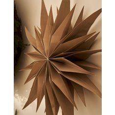 Large Taupe Brown Classic Star - 60cm Image
