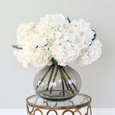 Mophead White Hydrangea Bunch of 6 Image