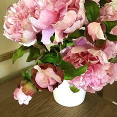 Pink Open Peony Stem Image