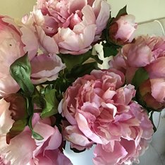 Pink Open Peony Stem Image