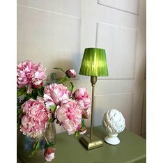 Rechargeable Brushed Brass Table Lamp - Green Shade Image