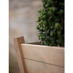 Roseland Planter Tall Image