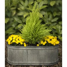 Set of 3 Ribbed Planters Image