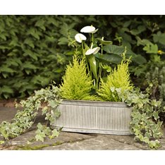 Set of 3 Ribbed Planters Image